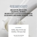 펫트러스트 이미지