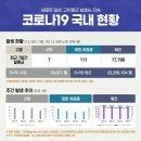 코로나19 국내 현황(7월 3일) 이미지