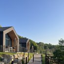 굿나잇도그 이미지