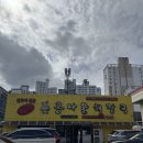 GS25 수성만촌점 | [대구맛집] 수성구 만촌 맛집 해장하기 좋은집 진국콩나물해장국 내돈내산 후기