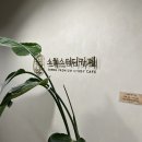 [신정네거리 스터디카페 추천] 소월스터디카페_신정 아델리체점 | 스터디룸 대여 후기 ( 이제 공부가...