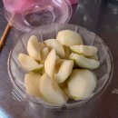 대만 예스폭지+야경 당일 투어버스 후기(내돈내산)