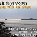너는;꽃 이미지