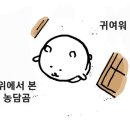생태동태