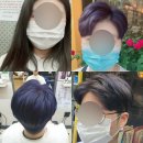 블루투퍼플 이미지