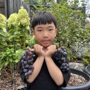 한나래유치원 이미지