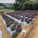 다소미로 | 광주서구요양원 다소미협동조합 회복기집중