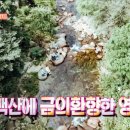 새밭식당 이미지