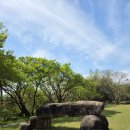 빛누리유치원 이미지