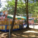 곰섬야영장 이미지