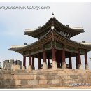수원-0981 티스토리