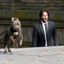 John Wick 4 이미지