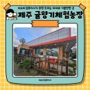 향기농장 | 제주도여행 귤향기체험농장 내돈내산 귤따기 후기