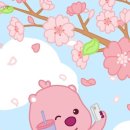 애니핏그라운드 이미지