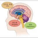 편안전활 이란? 이미지