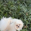 기다리다 이미지