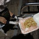 멍깨비마켓 이미지