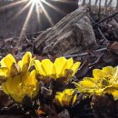 냉천공원 이미지