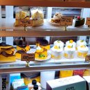 컵피 - 연수구 송도과학로28번길 8 | 컵피