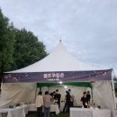 바다나루 | 2025 낙동강구포나루축제 별바다부산나이트마켓 실제방문후기(주차, 체험프로그램)