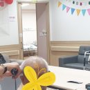 까꼬뽀꼬 이미지