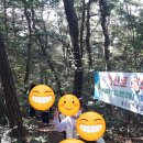 봉암초등학교(병설) 이미지