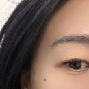 칠보당 | 공덕역 속눈썹펌 잘하는 곳 | 플로리아 뷰티 블랙 틴팅 후기