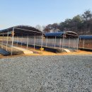 가림농장 이미지