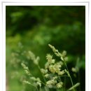 山川에서 이미지