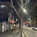 참이슬식당 | 평택역 노포 술집 _ 밥겸술이 가능한 곳, 참이슬 찌개하우스 내돈내산 후기(Feat. 닭도리탕, 오징어볶음)