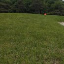 코스카cc 이미지