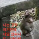 더 여음