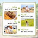 슬도낚시 | 울산 애견동반 여행 슬도 반려동반 코스