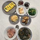 참 | [리뷰]세종산후도우미 2주 이용후기(참사랑어머니회, 지정제도우미)
