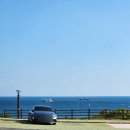 멜버즈서귀포점 이미지