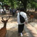 은냥이네 이미지