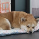 천하농장 이미지