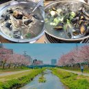 윤정축산 | 천안 원성천맛집 벚꽃명소 원성동 물총칼국수vs궁전해물칼국수
