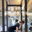 새로이 핏 이미지