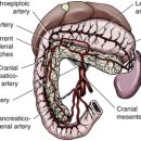 마음동물병원 이미지