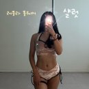 샬럿 | 레플라 엠베서더 2기 F/W 신상 컬렉션 샬럿폴웨어 샬럿세트 샴페인골드 후기