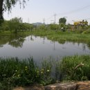 과림 낚시터 이미지