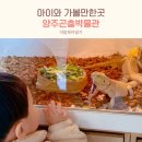 두리비어 | 아이와함께 양주 가볼만한곳 두리랜드 곤충박물관 실내체험
