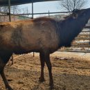 승미농장 이미지