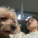[미국 미네소타주립대] CH.4 / 미국 교환학생 파견 준비, 준비물 List, 꿀팁 그리고 ...