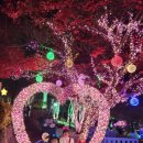 별빛새길갤러리&카페 이미지