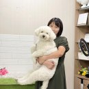 이쁘개 애견샵 이미지