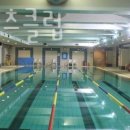 관악신안스포츠클럽(헬스) | 대치동헬스 신안스포츠클럽 피티 추천