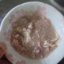 주식 | [고양이습식] 쉬바® 주식캔 후기
