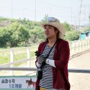 세종시장군승마장 이미지